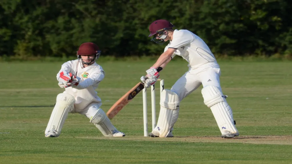 stumping