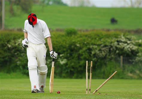 cricket match pics